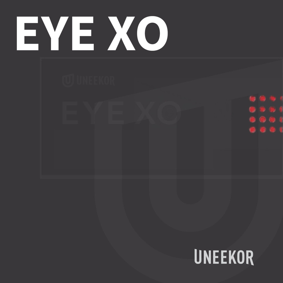Uneekor EYE XO Golf Launch Monitor & Simulator – Ceiling-Mounted, Premium Accuracy